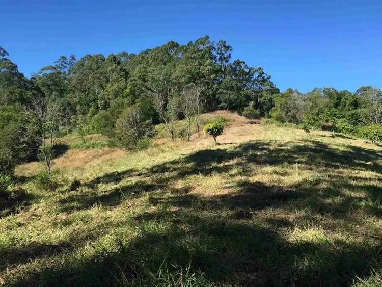 Seventh view of Homely land listing, 3850 Kyogle Road, Mount Burrell NSW 2484