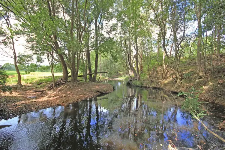 Second view of Homely rural property listing, 1151 Lorne Road, Lorne NSW 2439