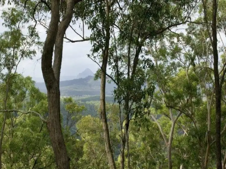 Seventh view of Homely land listing, 475 Campbells Pocket Road, Wamuran Basin QLD 4512