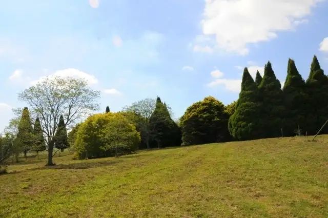 Fifth view of Homely rural property listing, Lot 318 Illawarra Highway, Moss Vale NSW 2577