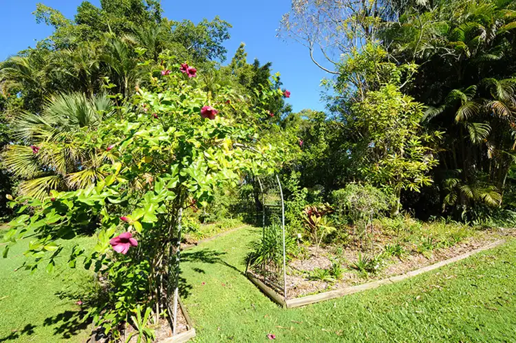 Fourth view of Homely house listing, 2963 Old Gympie Road, Beerwah QLD 4519