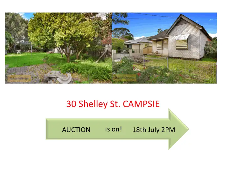 Main view of Homely house listing, 30 Shelley Street, Campsie NSW 2194