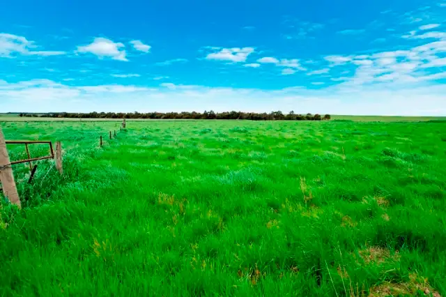 Sixth view of Homely house listing, 2770 Foxhow Road, Berrybank VIC 3323