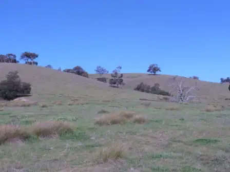 Fifth view of Homely rural property listing, 11 Walla lane, Rye Park, Boorowa NSW 2586