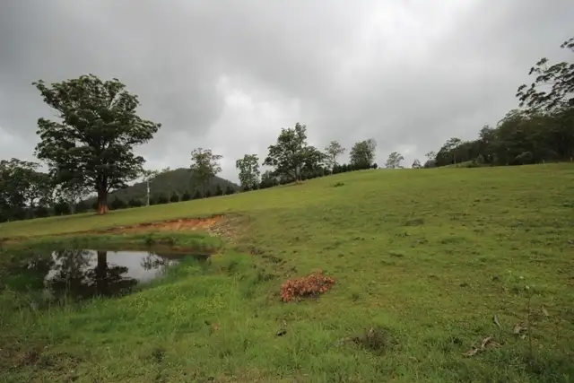 Fifth view of Homely rural property listing, Lot 83 Pappinbarra Road, Pappinbarra NSW 2446