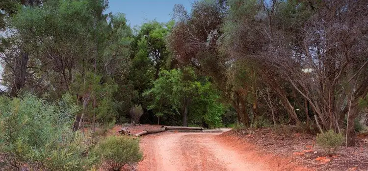 Sixth view of Homely house listing, 33 Shaw Road, Barmera SA 5345