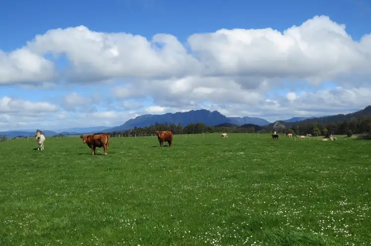 119 Moreys Road, Barrington TAS 7306
