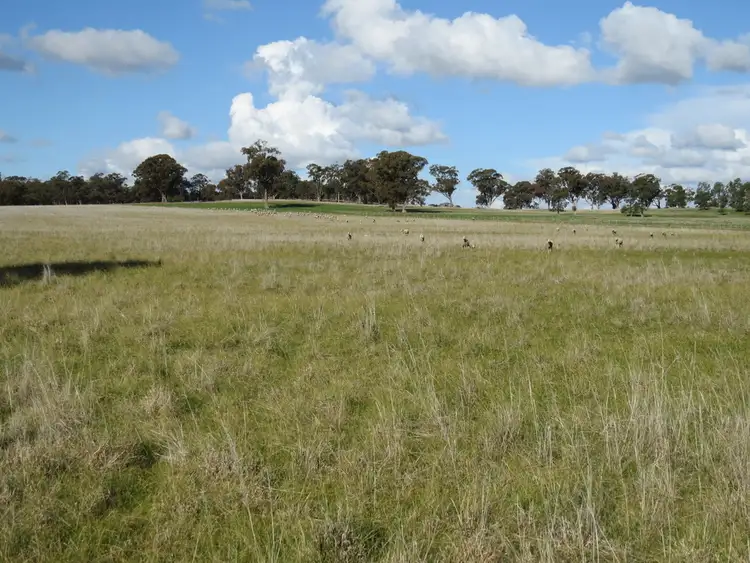 Second view of Homely rural property listing, 1112 Back Barooga Road, Mulwala NSW 2647