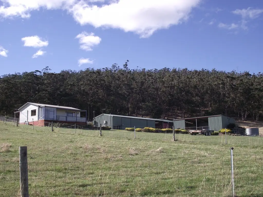Main view of Homely house listing, 253 Greens Road, Orielton TAS 7172