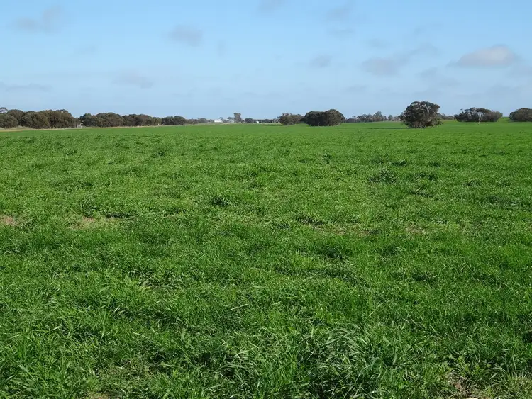 Fourth view of Homely rural property listing, 2376 Red Bluff Road, Bordertown SA 5268