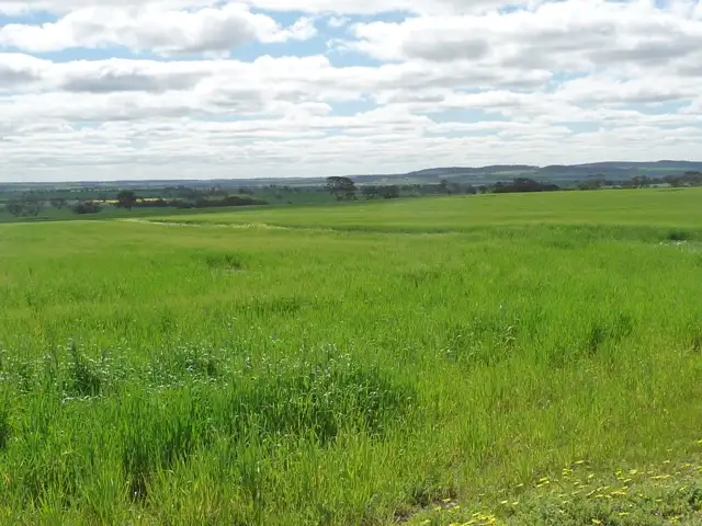 Main view of Homely rural property listing, Lot 3231 Piccadilly Road, York WA 6302