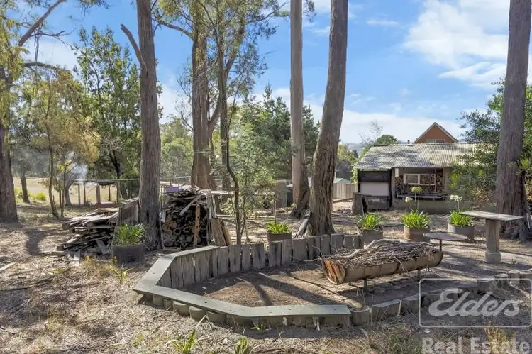 Fifth view of Homely house listing, 79 Deviot Road, Robigana TAS 7275
