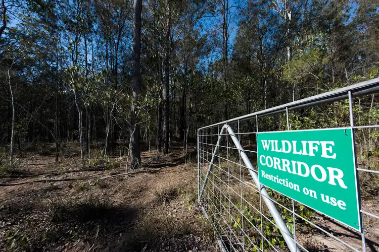 Third view of Homely land listing, Lot 3 Burragan Road, Coutts Crossing NSW 2460