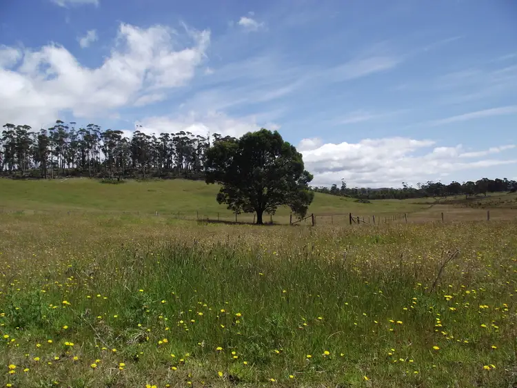 Third view of Homely rural property listing, 30 Bresnehans Road, Little Swanport TAS 7190