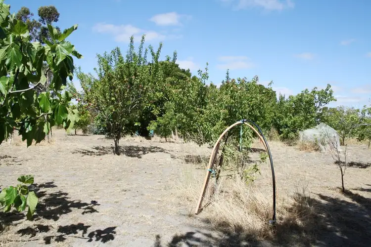 Third view of Homely rural property listing, 292 Cape Jaffa Road, Cape Jaffa SA 5275