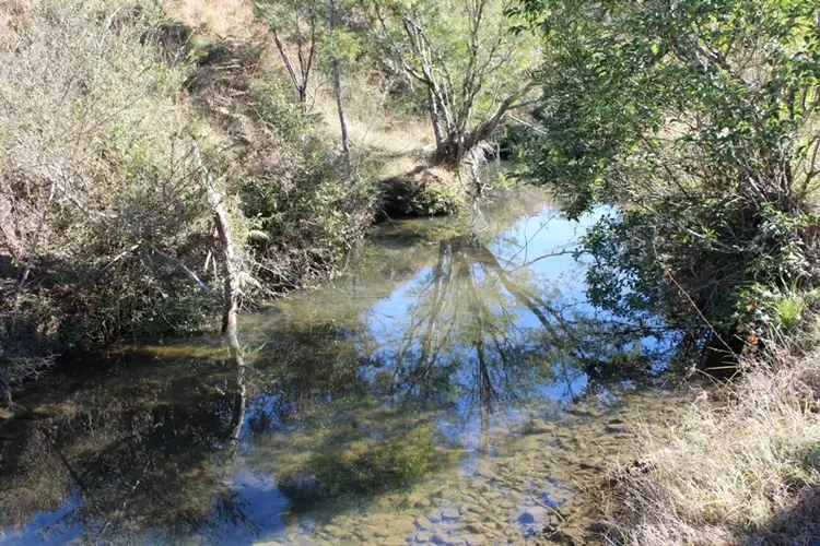 Third view of Homely rural property listing, 207 Tilbaroo Road, Elands NSW 2429