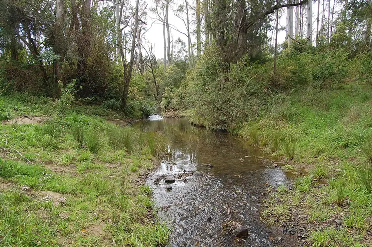 Second view of Homely rural property listing, 16401 Clarence Way, Bean Creek NSW 2469