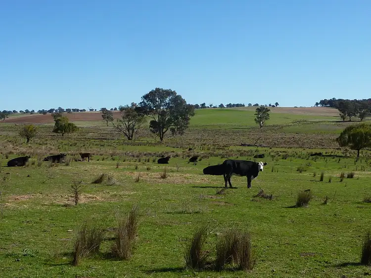 Second view of Homely rural property listing, 300 McClures lane Keajura, Wagga Wagga NSW 2650