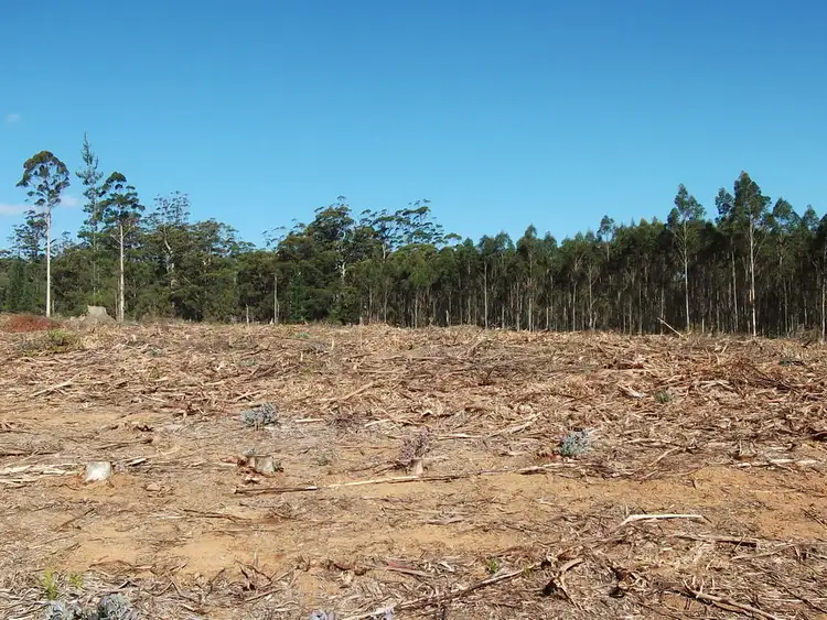 Seventh view of Homely rural property listing, Lot 4335 Wheatley Coast Road, Manjimup WA 6258