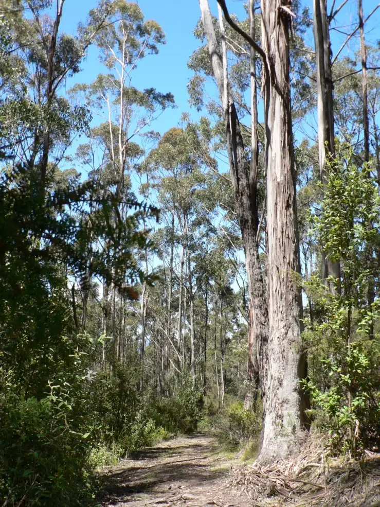 Sixth view of Homely land listing, 5370 Channel Highway, Gordon TAS 7150