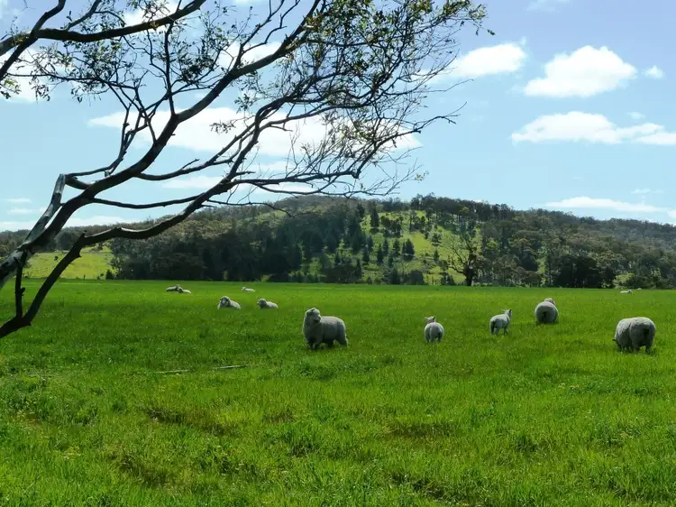 Main view of Homely rural property listing, Lot 16 Racecourse Road, Cape Clear VIC 3351
