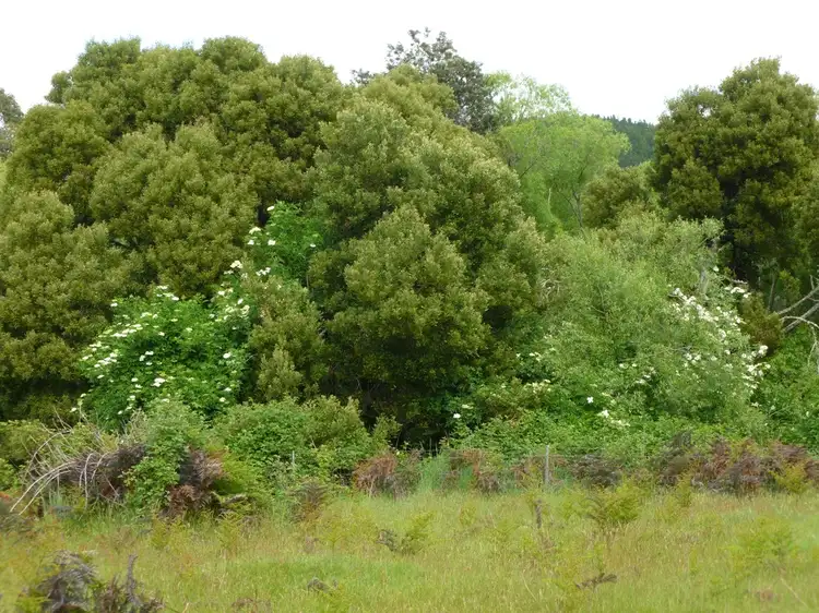 Sixth view of Homely land listing, Lot 1 Holmes Road, Ellendale TAS 7140
