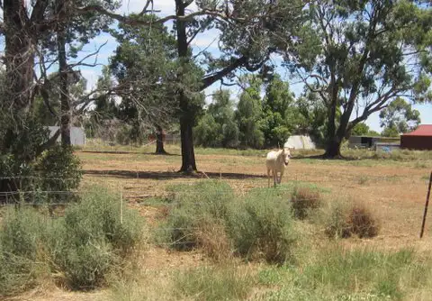Third view of Homely land listing, 46-48 Devlin St, Matong NSW 2652