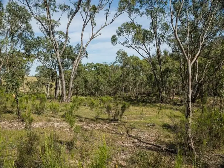 Third view of Homely rural property listing, Western Block Cudgegong Road, Rylstone NSW 2849
