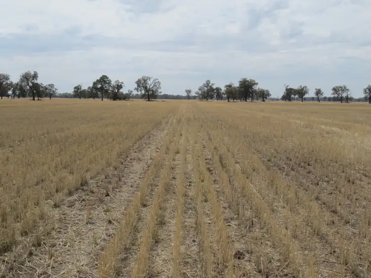 "Nahweenah" Mayrung Road, Deniliquin NSW 2710