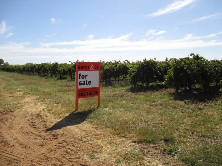 Second view of Homely land listing, Block 166 Honour Ave, Merbein VIC 3505