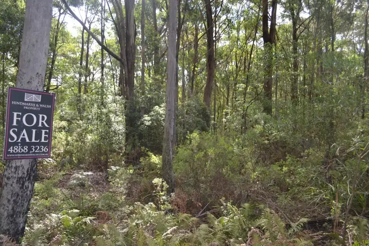 Fifth view of Homely rural property listing, 1036 Meryla Rd, Meryla NSW 2577