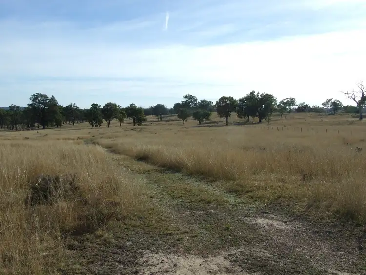 Fifth view of Homely rural property listing, 70 Mountain Maid Road, Greymare QLD 4370