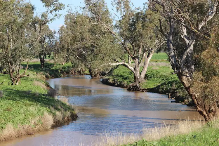 Fifth view of Homely rural property listing, 415 Melrose Road, Mullaley NSW 2379