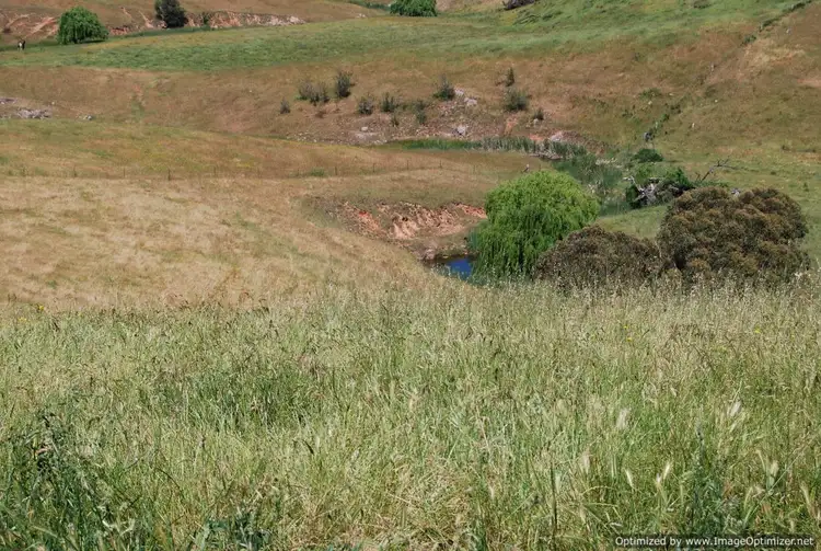 Sixth view of Homely house listing, 792 Reedy Creek Road, Ensay VIC 3895