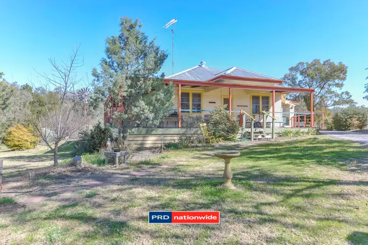 Main view of Homely house listing, 229 Sandy Road, Kootingal NSW 2352