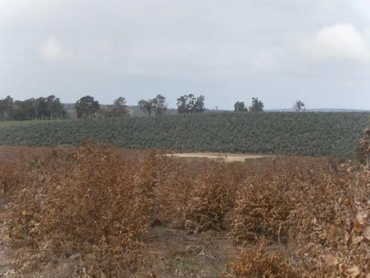 Second view of Homely rural property listing, 1706 Bridgetown Boyup Brook Rd, Benjinup WA 6255