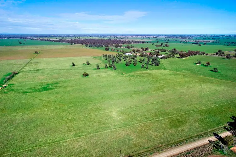 Main view of Homely rural property listing, 7216 Riverina Highway, Corowa NSW 2646