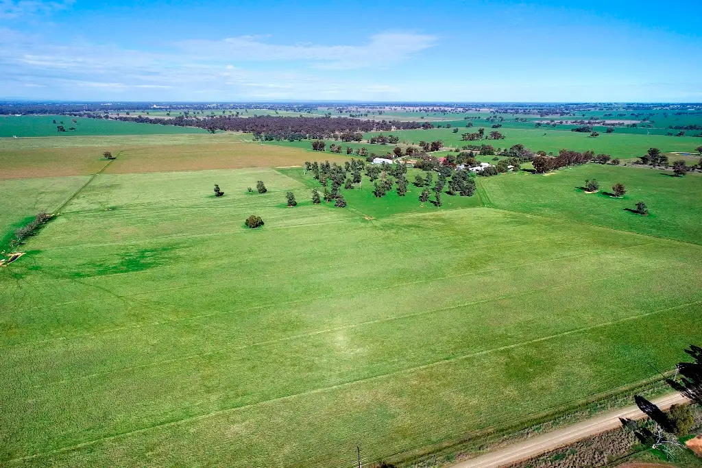 Main view of Homely rural property listing, 7216 Riverina Highway, Corowa NSW 2646
