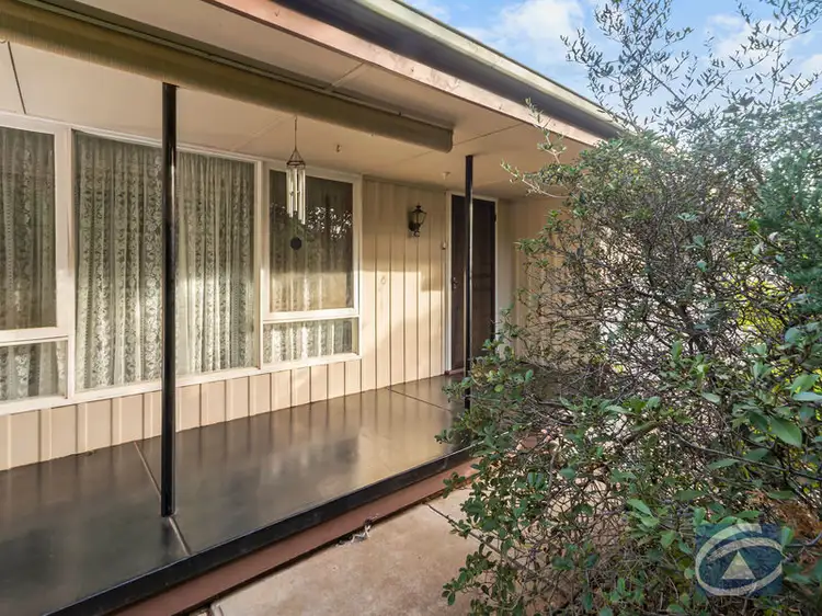 Main view of Homely house listing, 38. Borrow Street, Freeling SA 5372