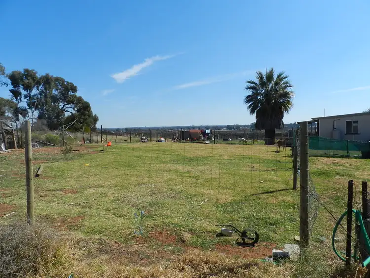 Fifth view of Homely rural property listing, 121 Elephant Trunk Road, Cobdogla SA 5346
