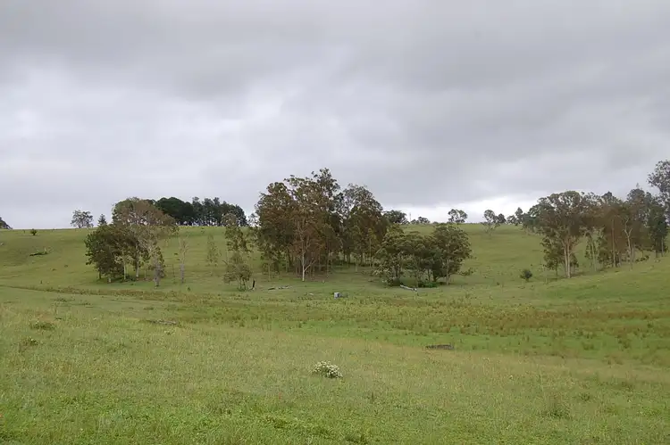 Fifth view of Homely rural property listing, 1158 Dyraaba Road, Dyraaba NSW 2470