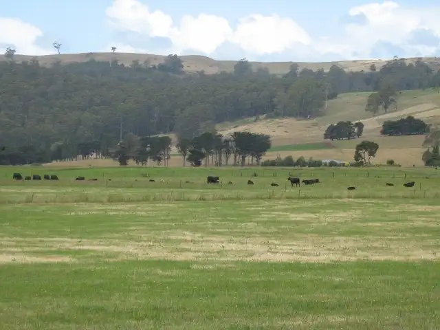 Sixth view of Homely rural property listing, 978 Gunns Plains Road, Gunns Plains TAS 7315