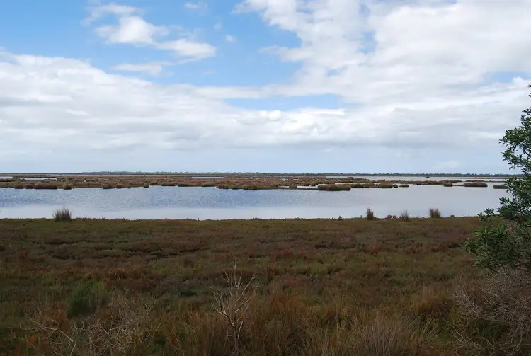 Third view of Homely rural property listing, 655 Woodpile Road, Meerlieu VIC 3862