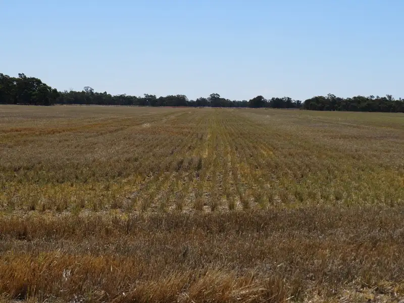 Main view of Homely rural property listing, "Corraleigh" Merriginnie Lane, Burraboi NSW 2732