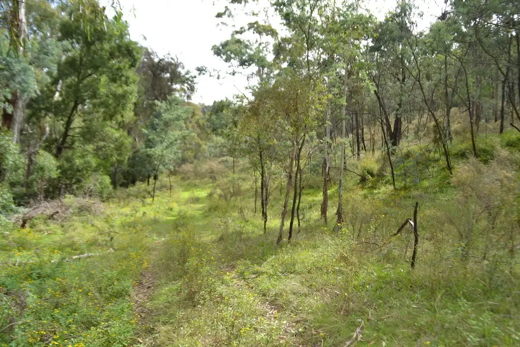 Main view of Homely rural property listing, 6502 Castlereagh Highway, Mudgee NSW 2850