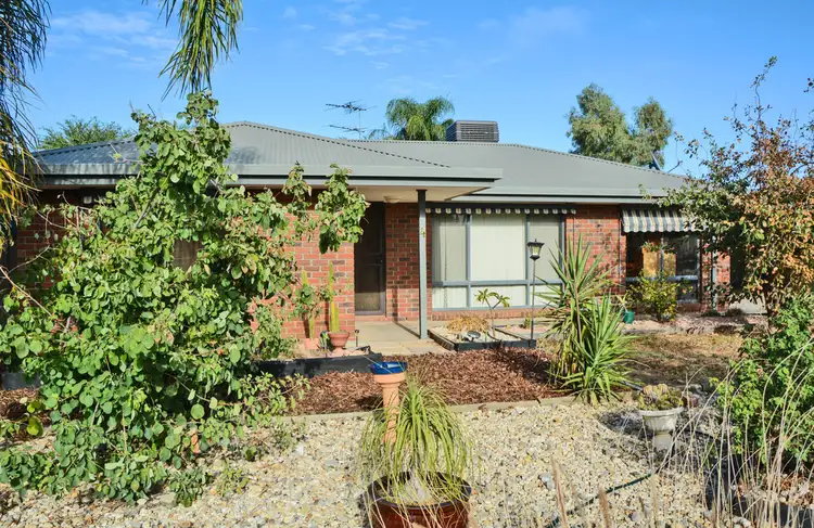 4 JANE STREET, Wentworth NSW 2648