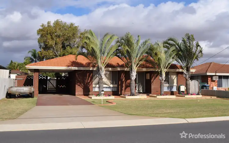 182 Anderson Street, Spalding WA 6530