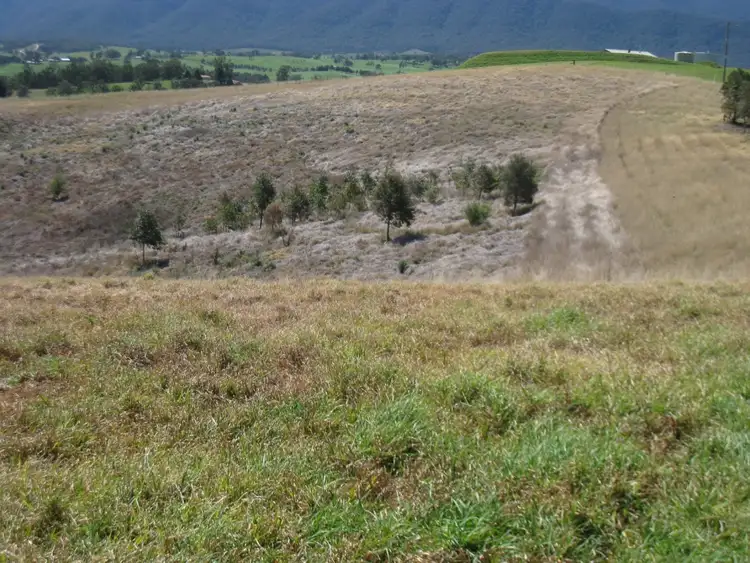 Fourth view of Homely land listing, Lot 134 Barretts Rd, Bemboka NSW 2550