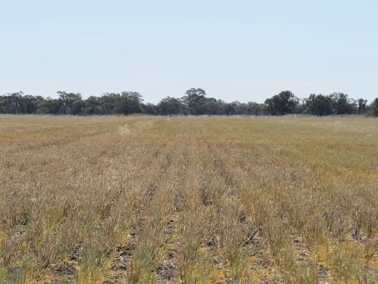 Second view of Homely rural property listing, "Corraleigh" Merriginnie Lane, Burraboi NSW 2732