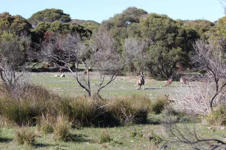 Fourth view of Homely land listing, 12 Grimm Road, Coffin Bay SA 5607